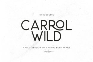Carrol Wild Typeface Review: Modern Sans Serif for Editorial Design