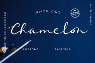 Chamelon Typeface Review