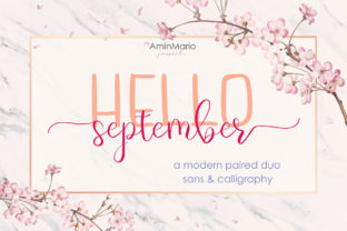 Hello September: A Romantic Handwritten Font for Small Business Branding