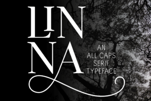 Linna Typeface: The All-Caps Serif for Elegant Branding