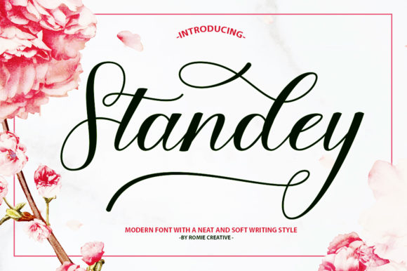 Standey: A Script Handwritten Font for Cute Branding Projects